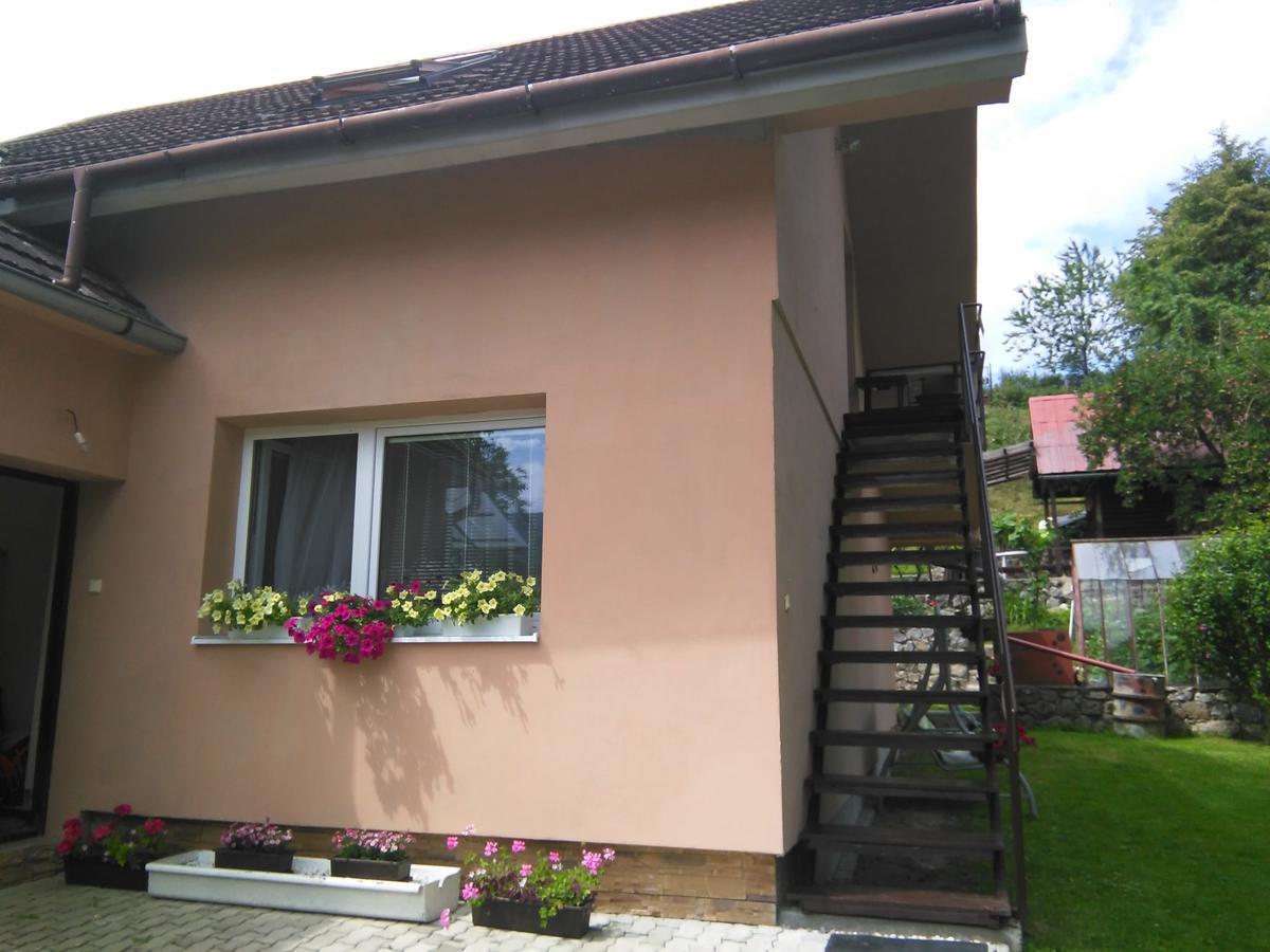 Apartment Privat Simba Strecno